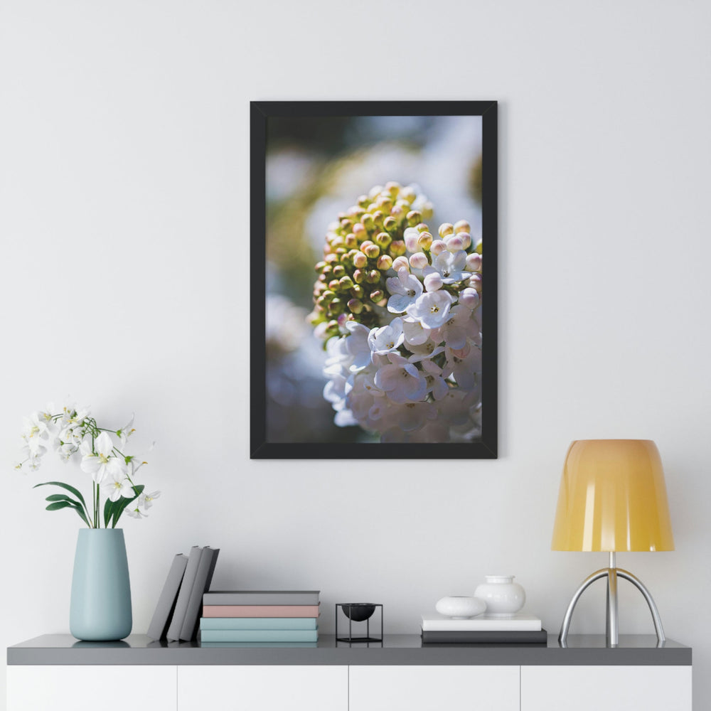 Mid-Bloom - Framed Print - Visiting This World