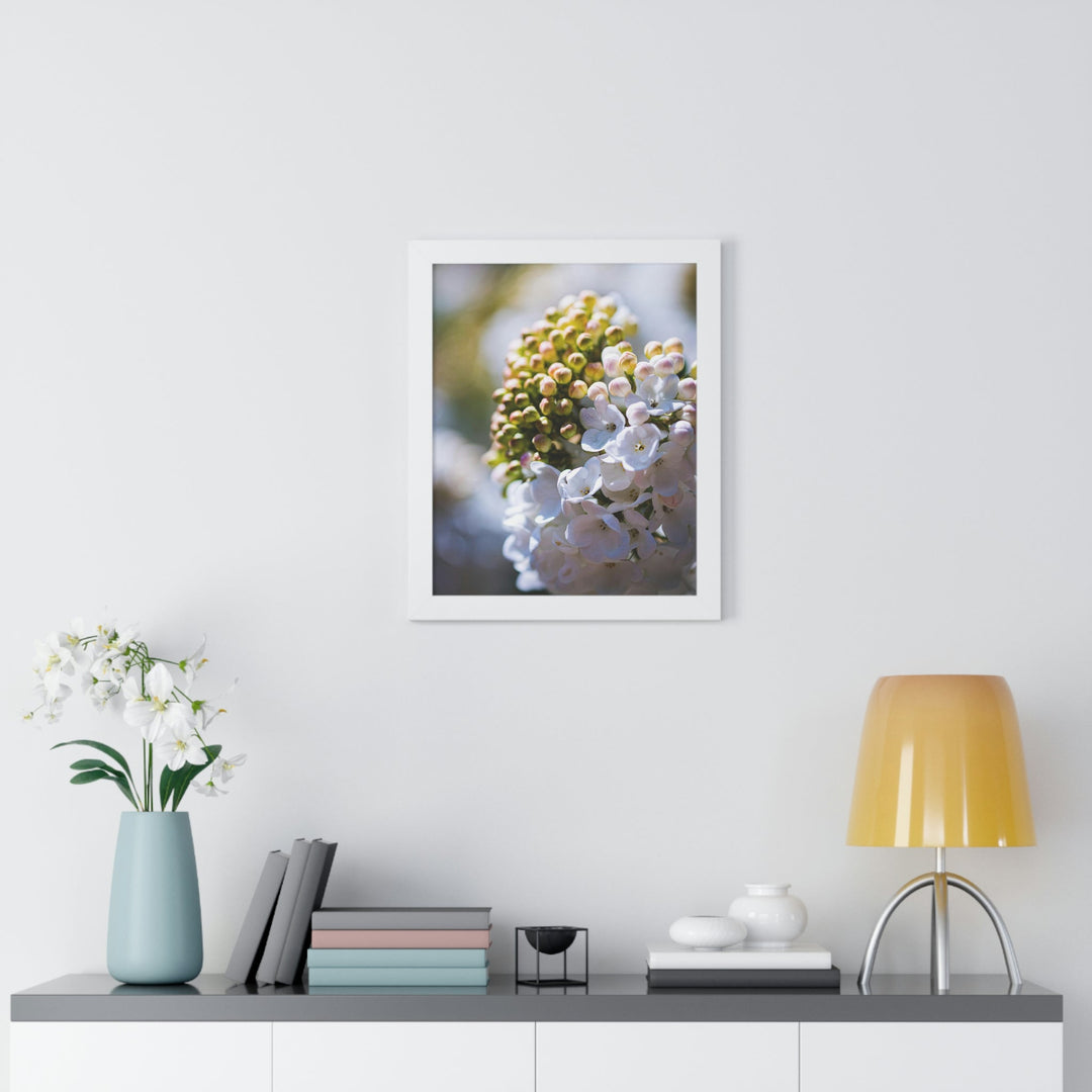 Mid-Bloom - Framed Print - Visiting This World