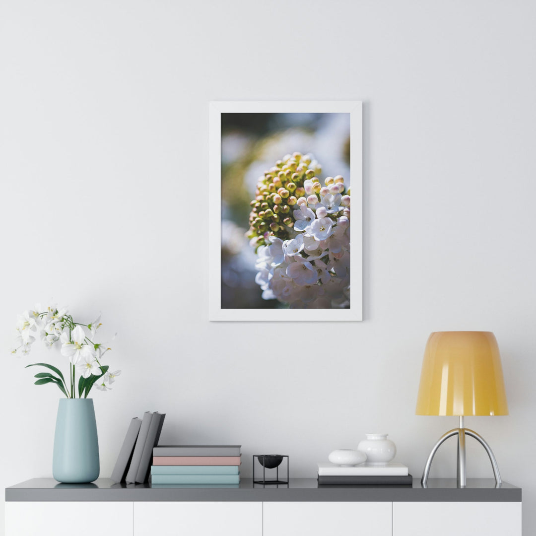 Mid-Bloom - Framed Print - Visiting This World