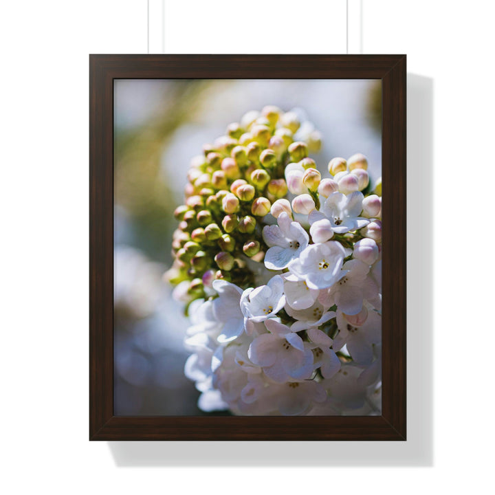 Mid-Bloom - Framed Print - Visiting This World