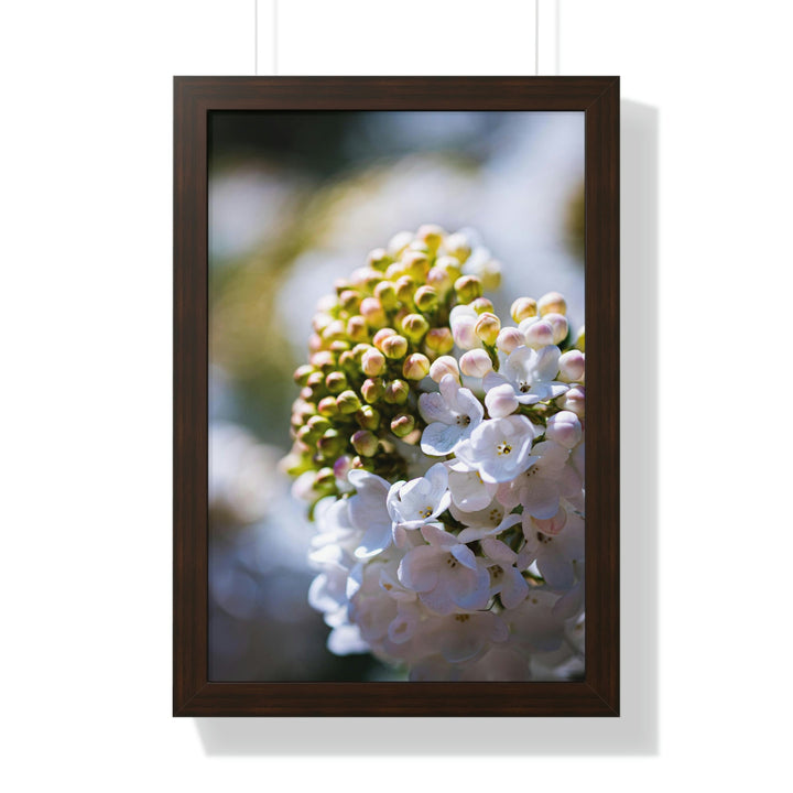 Mid-Bloom - Framed Print - Visiting This World