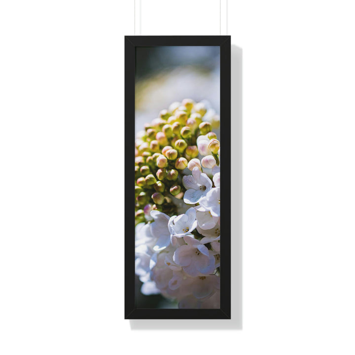 Mid-Bloom - Framed Print - Visiting This World