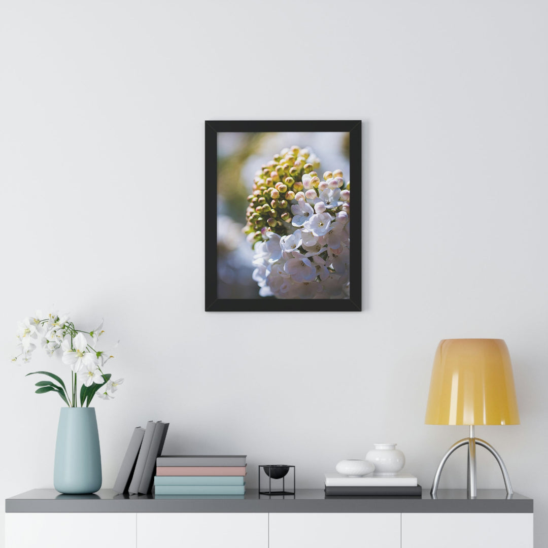 Mid-Bloom - Framed Print - Visiting This World