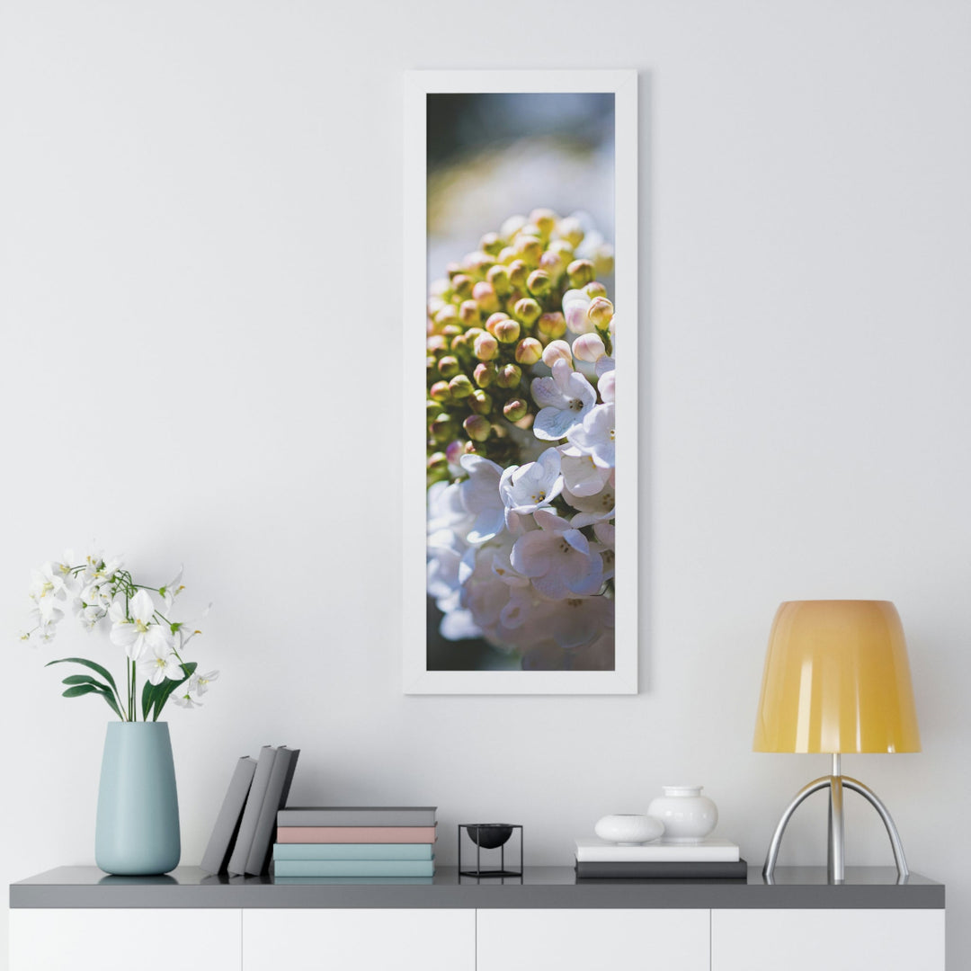 Mid-Bloom - Framed Print - Visiting This World