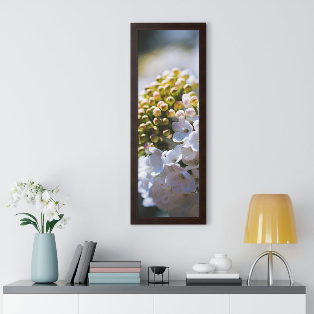 Mid-Bloom - Framed Print - Visiting This World