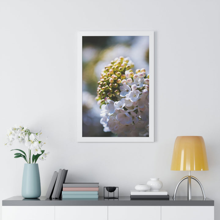 Mid-Bloom - Framed Print - Visiting This World