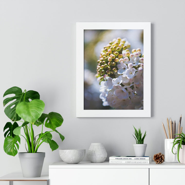 Mid-Bloom - Framed Print - Visiting This World