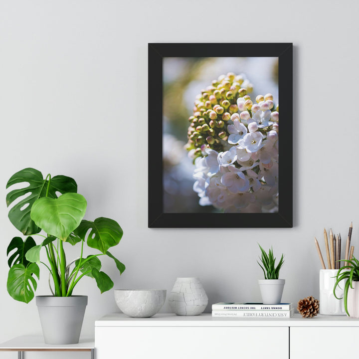 Mid-Bloom - Framed Print - Visiting This World