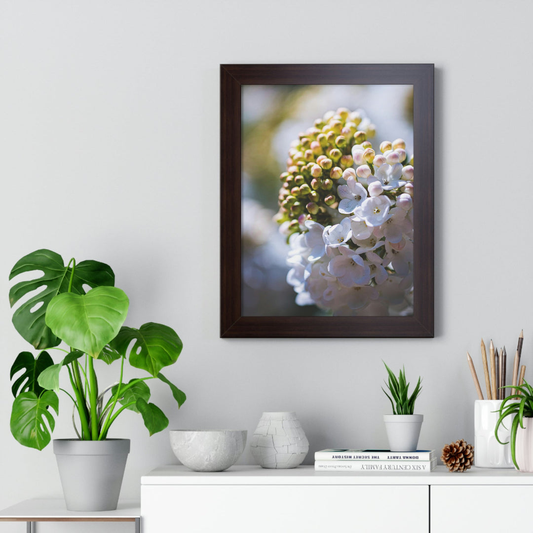 Mid-Bloom - Framed Print - Visiting This World