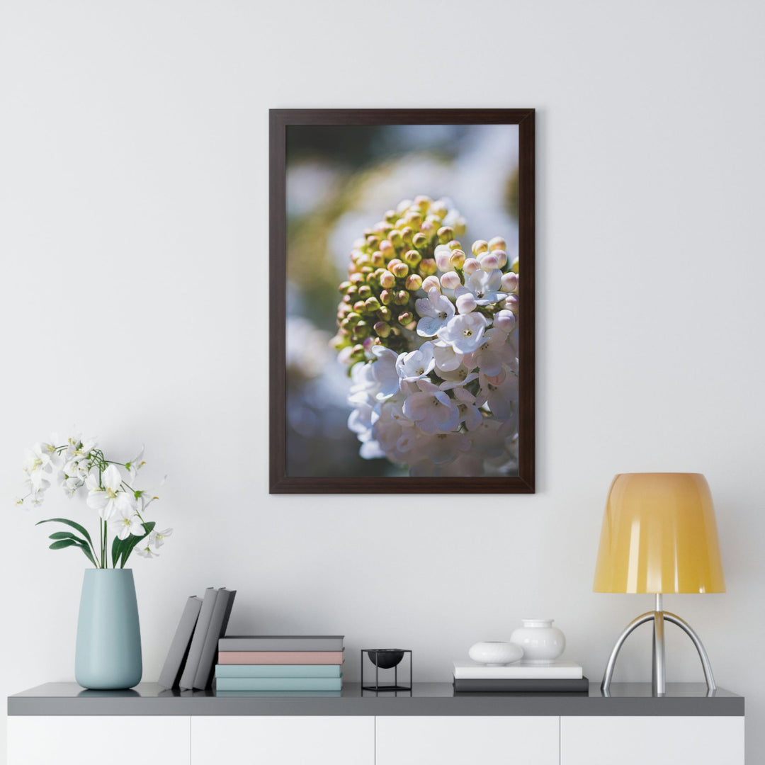 Mid-Bloom - Framed Print - Visiting This World