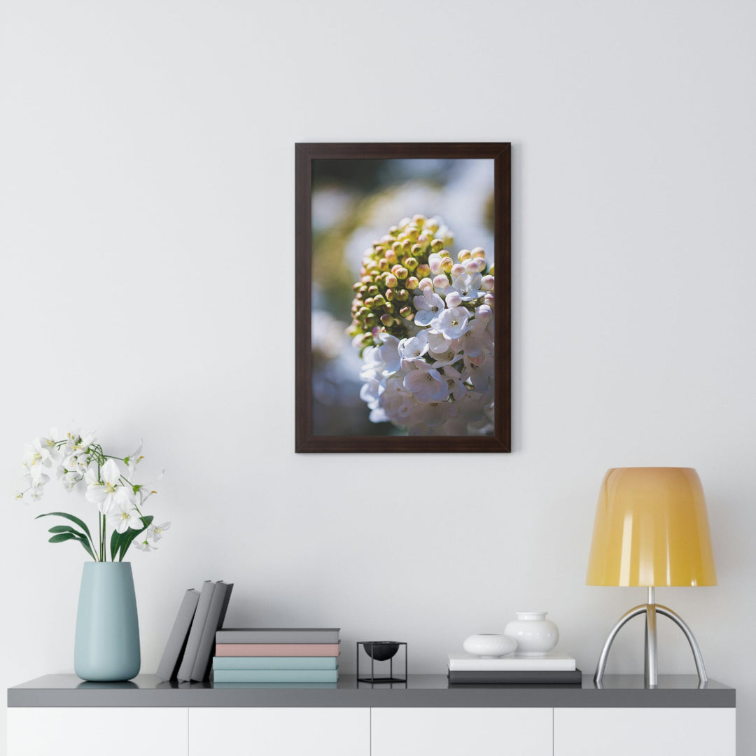 Mid-Bloom - Framed Print - Visiting This World