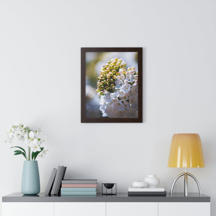 Mid-Bloom - Framed Print - Visiting This World