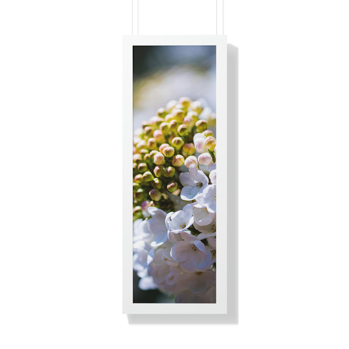 Mid-Bloom - Framed Print - Visiting This World