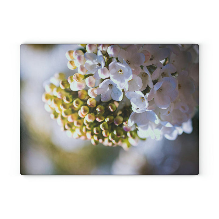 Mid-Bloom - Glass Cutting Board - Visiting This World