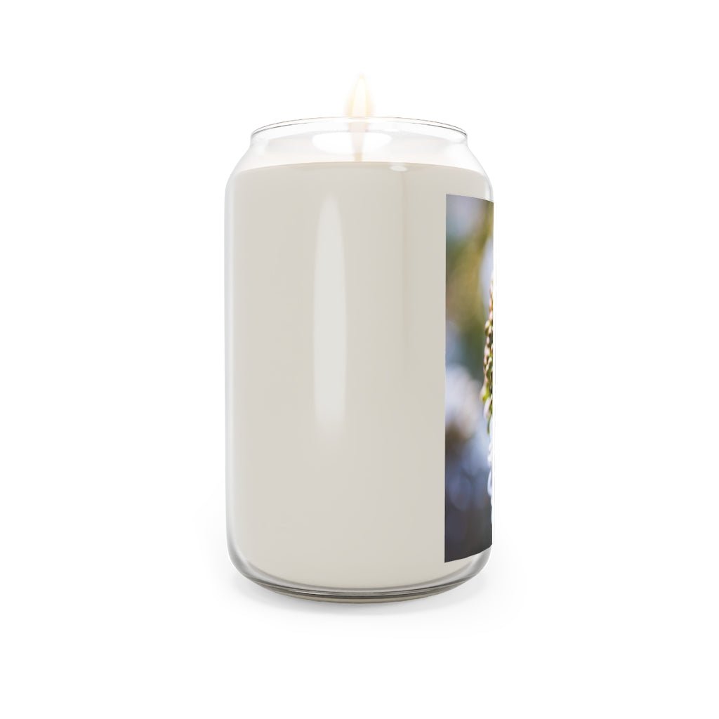 Mid-Bloom - Scented Candle, 13.75oz - Visiting This World