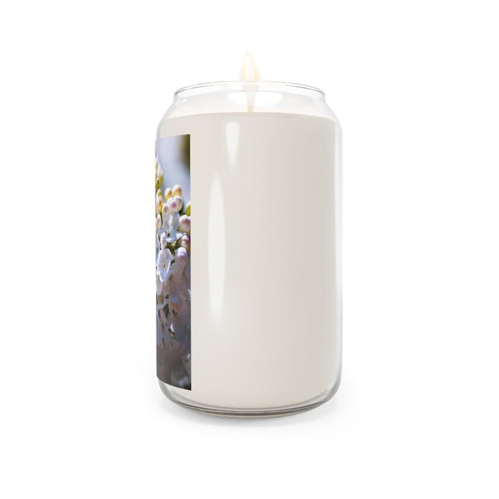 Mid-Bloom - Scented Candle, 13.75oz - Visiting This World