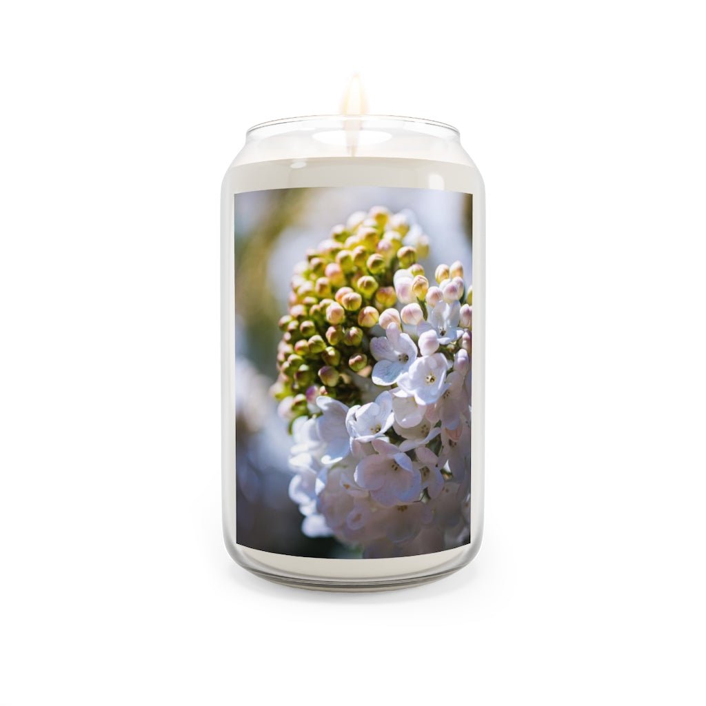 Mid-Bloom - Scented Candle, 13.75oz - Visiting This World