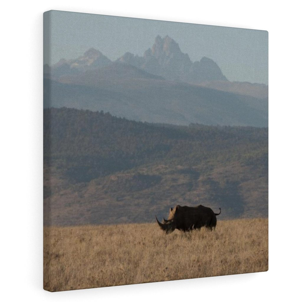 Mt. Kenya and The Bull - Canvas - Visiting This World