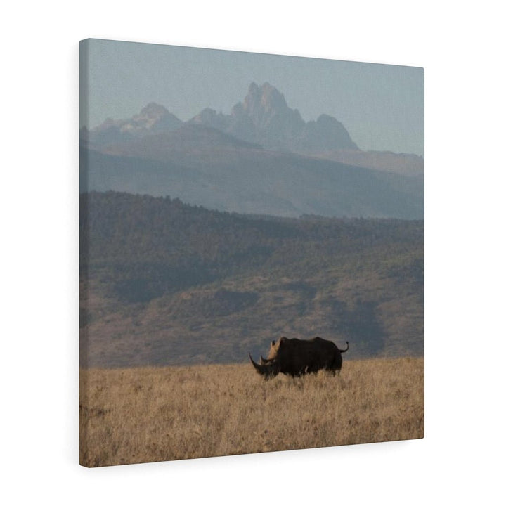 Mt. Kenya and The Bull - Canvas - Visiting This World