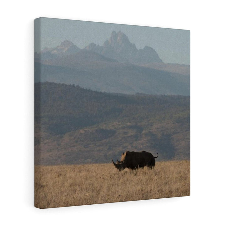 Mt. Kenya and The Bull - Canvas - Visiting This World