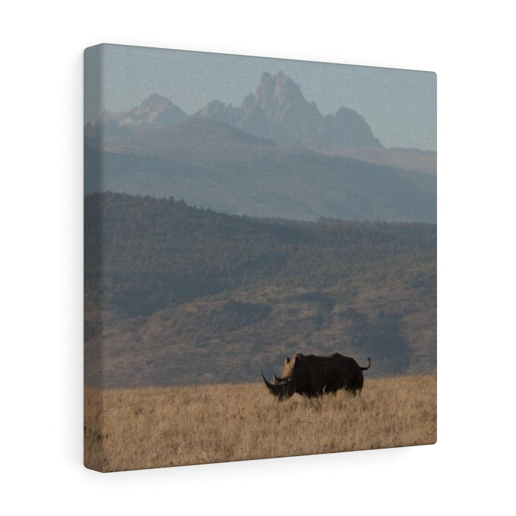 Mt. Kenya and The Bull - Canvas - Visiting This World