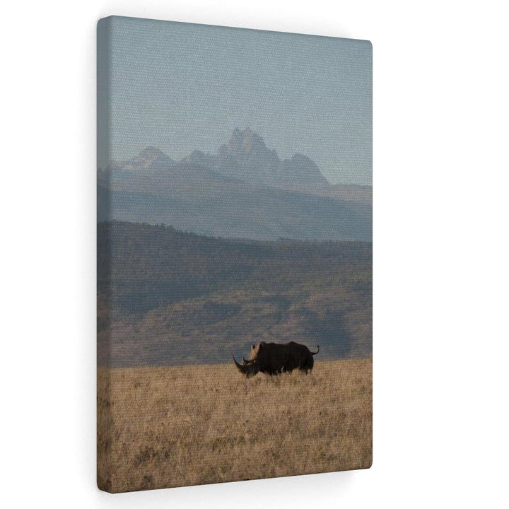 Mt. Kenya and The Bull - Canvas - Visiting This World