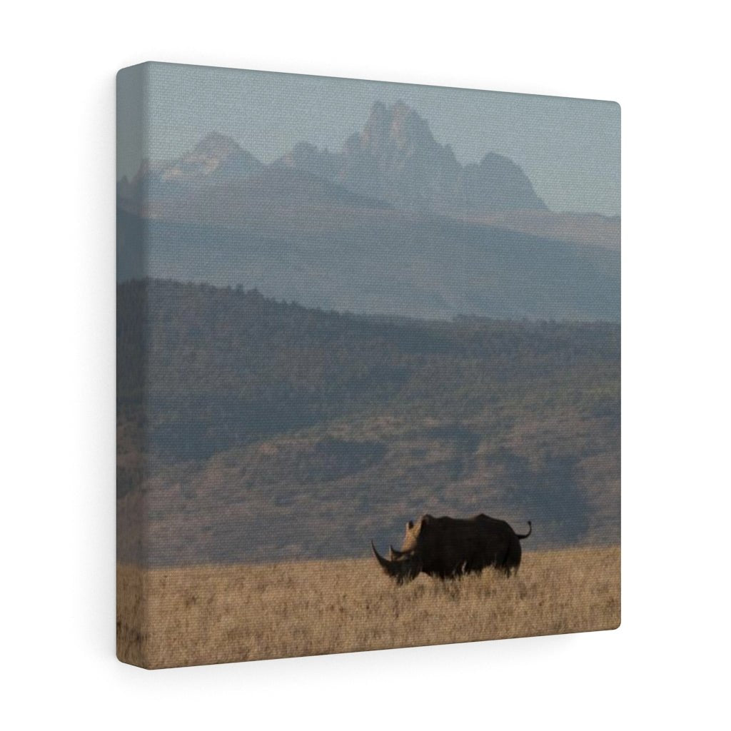 Mt. Kenya and The Bull - Canvas - Visiting This World