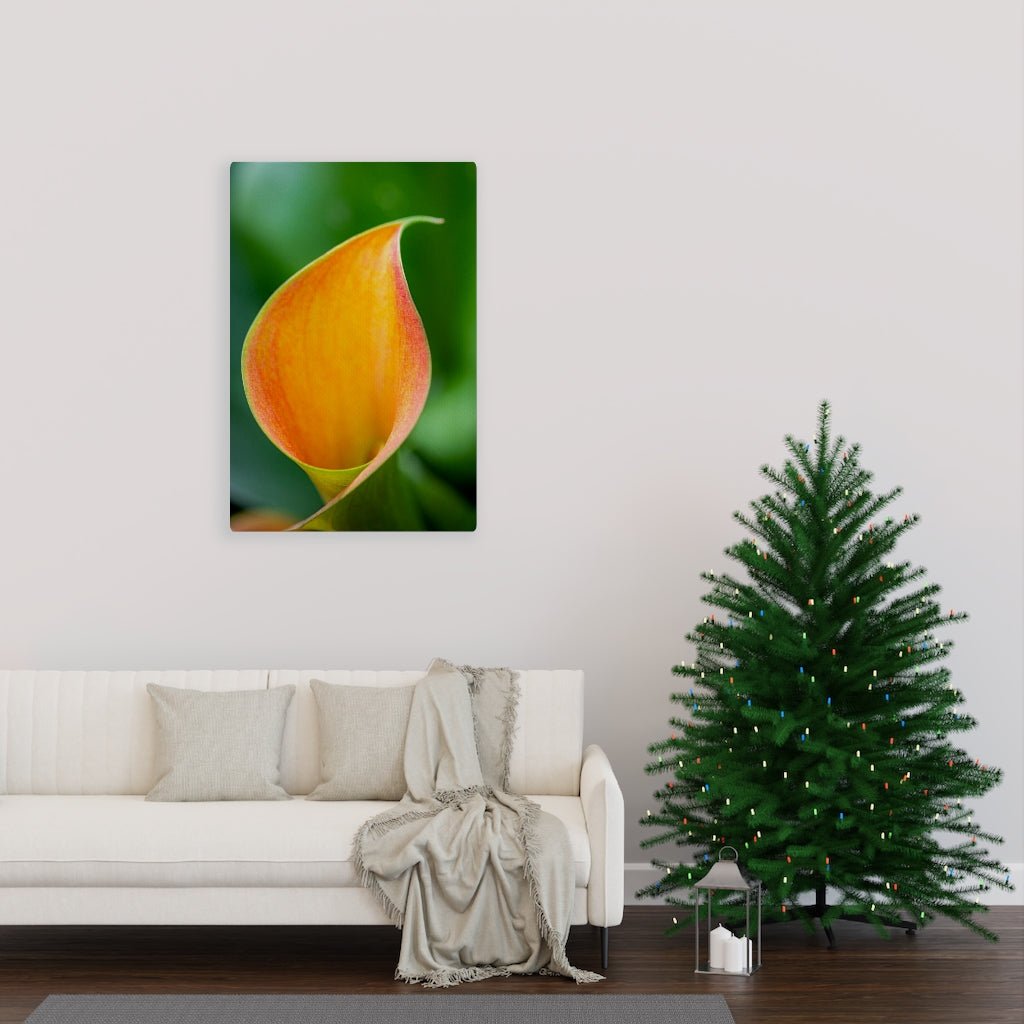 Orange Calla Lily - Canvas - Visiting This World