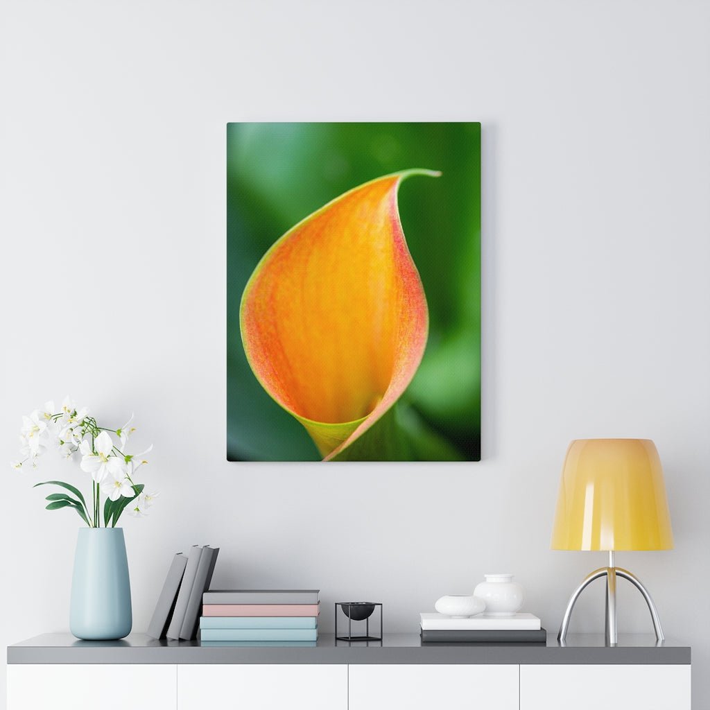 Orange Calla Lily - Canvas - Visiting This World