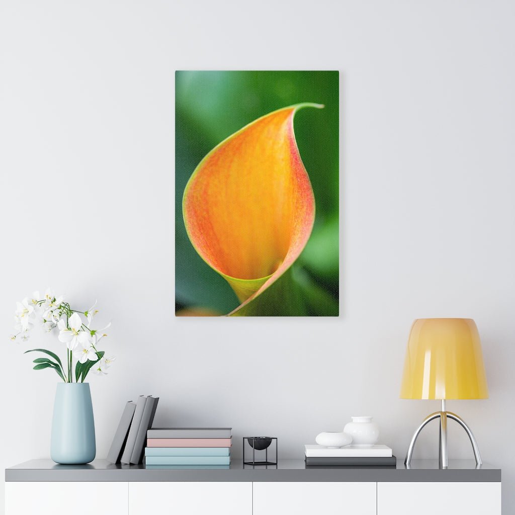 Orange Calla Lily - Canvas - Visiting This World