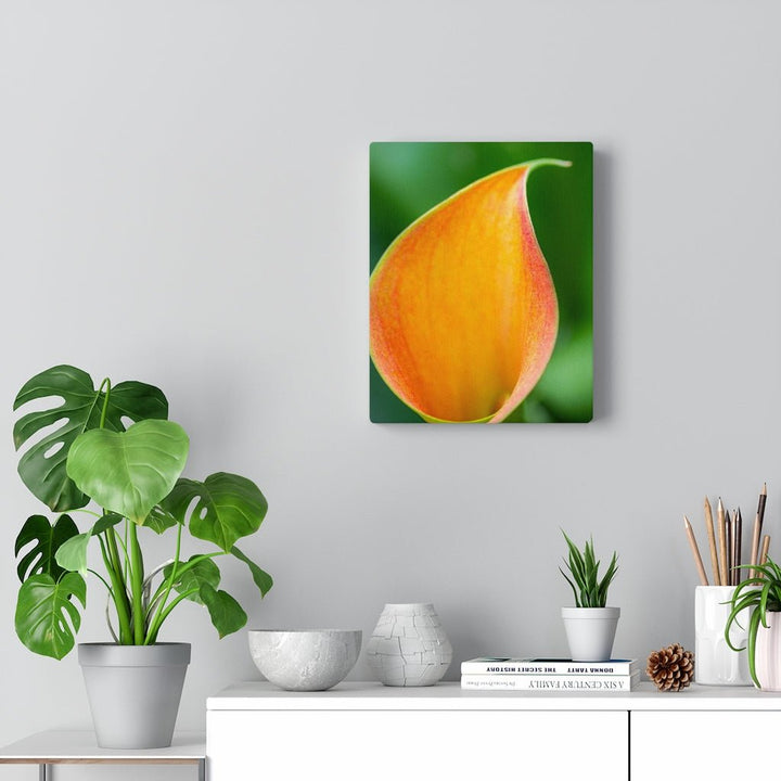 Orange Calla Lily - Canvas - Visiting This World