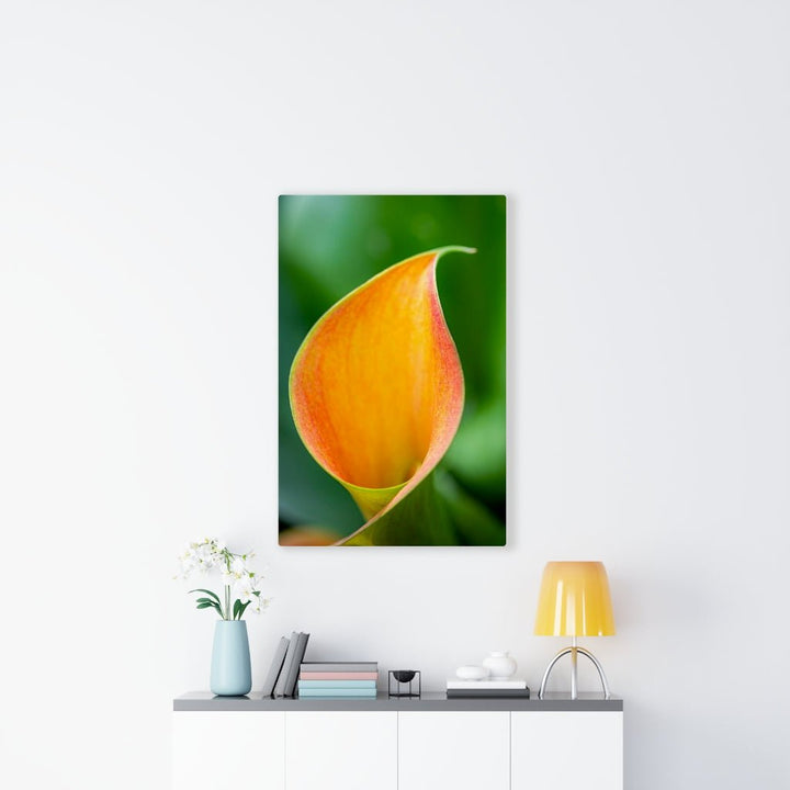 Orange Calla Lily - Canvas - Visiting This World