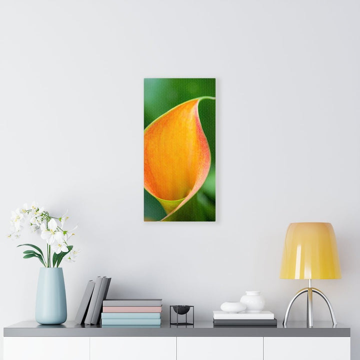 Orange Calla Lily - Canvas - Visiting This World