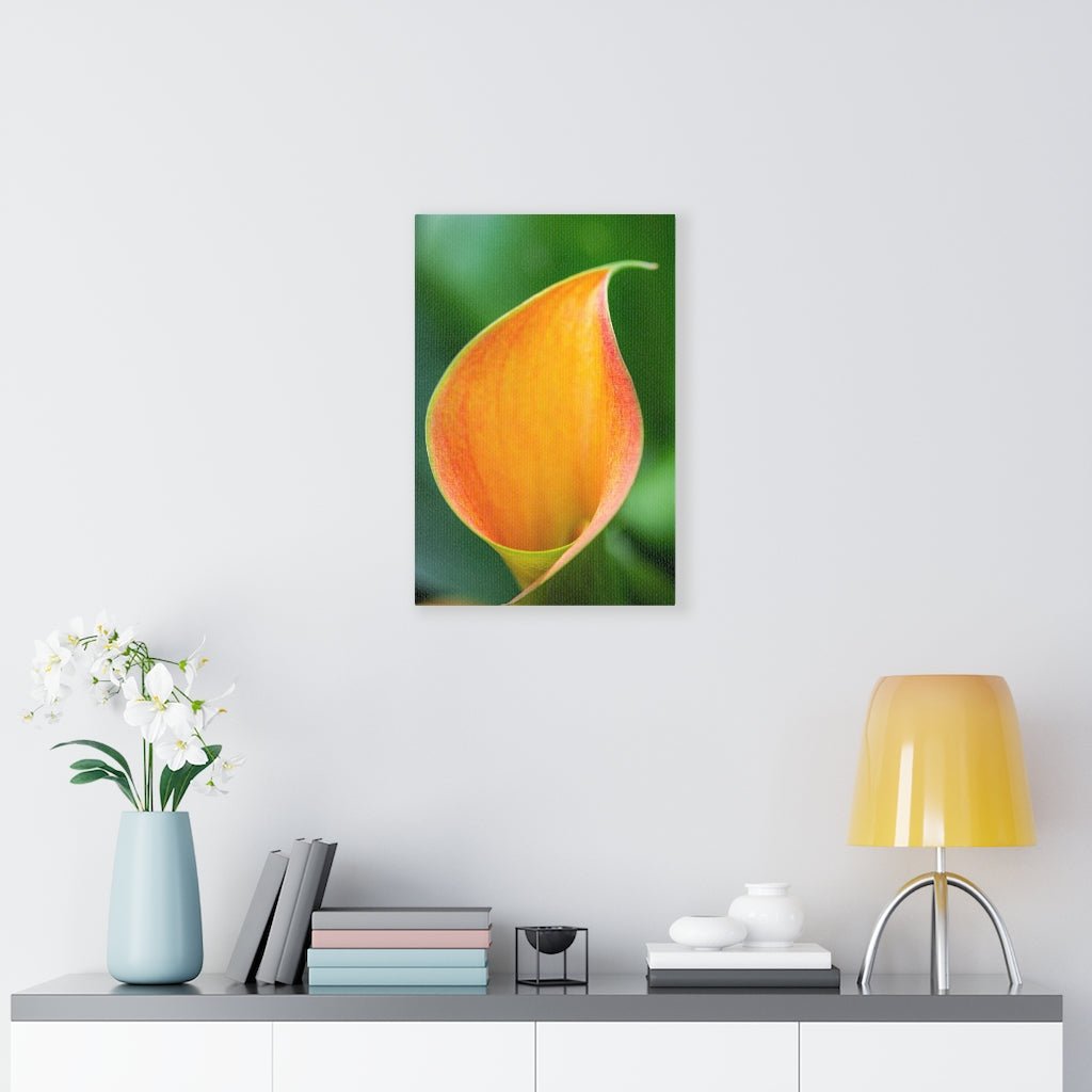 Orange Calla Lily - Canvas - Visiting This World