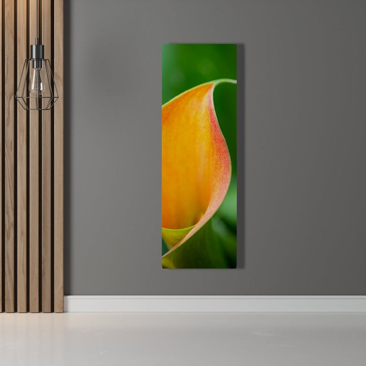 Orange Calla Lily - Canvas - Visiting This World