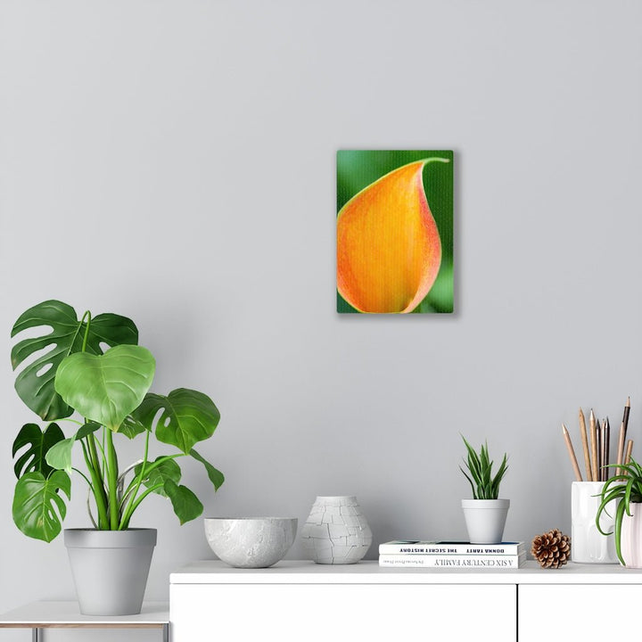 Orange Calla Lily - Canvas - Visiting This World