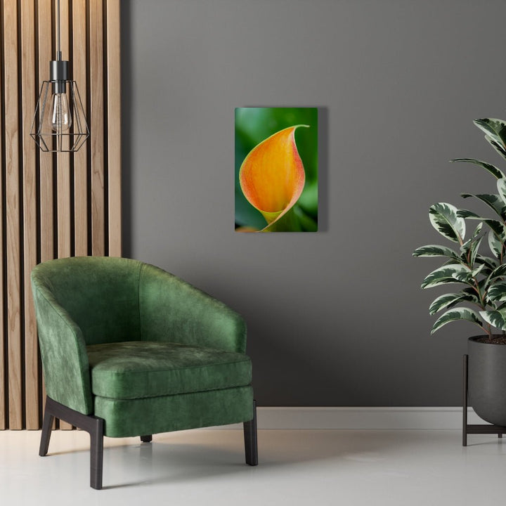 Orange Calla Lily - Canvas - Visiting This World