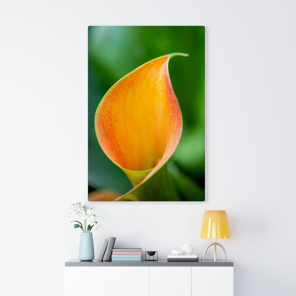 Orange Calla Lily - Canvas - Visiting This World