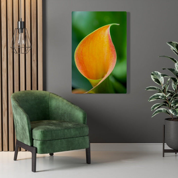 Orange Calla Lily - Canvas - Visiting This World