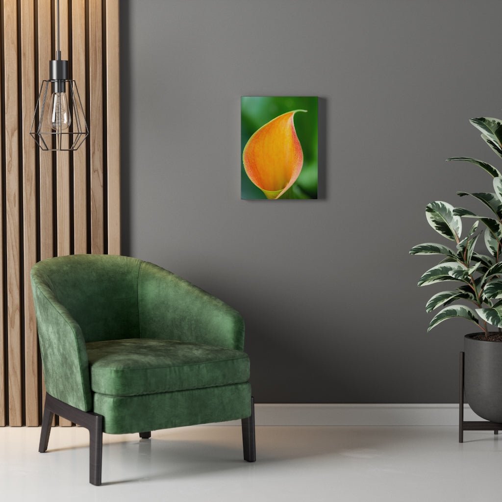 Orange Calla Lily - Canvas - Visiting This World