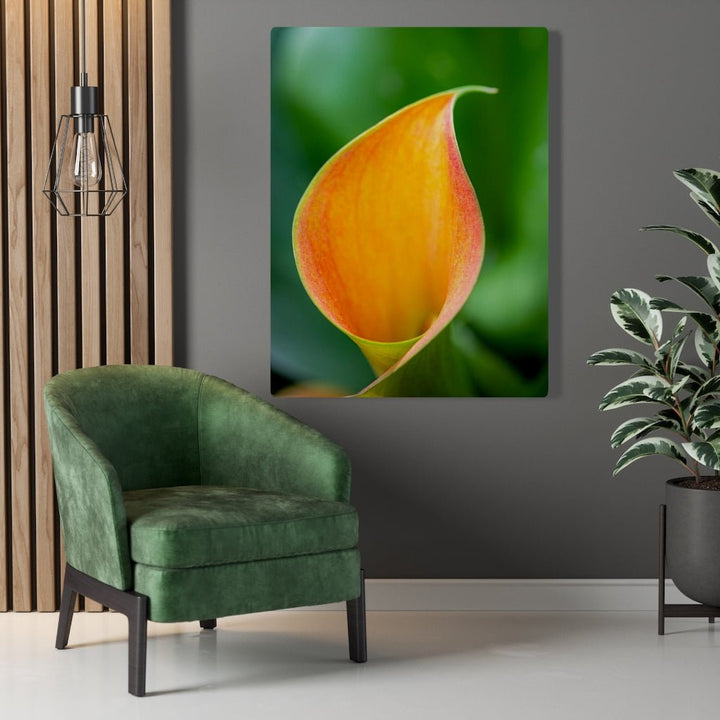 Orange Calla Lily - Canvas - Visiting This World