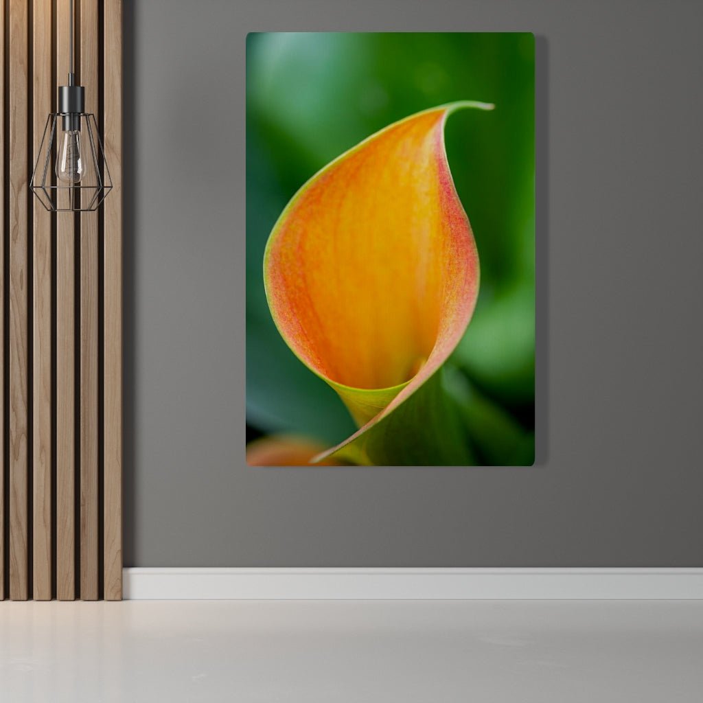 Orange Calla Lily - Canvas - Visiting This World