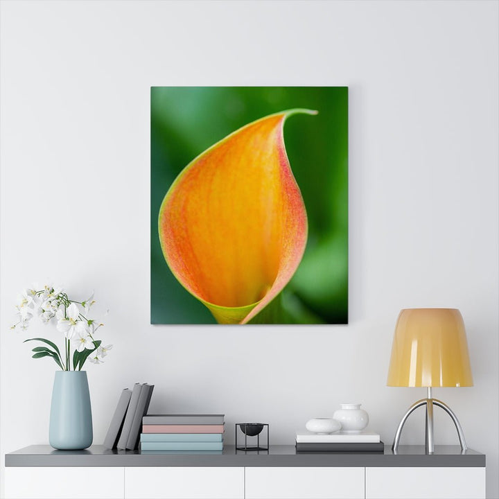 Orange Calla Lily - Canvas - Visiting This World