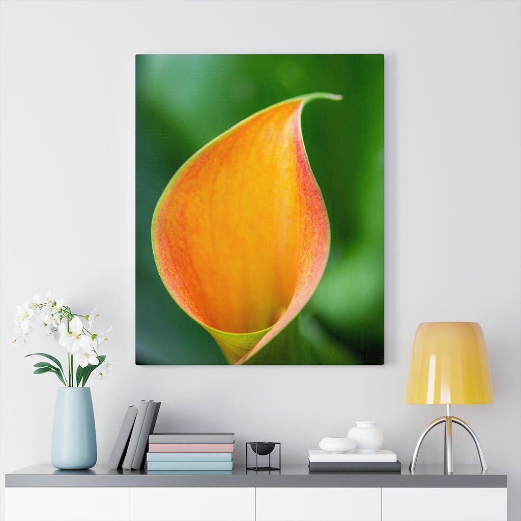 Orange Calla Lily - Canvas - Visiting This World