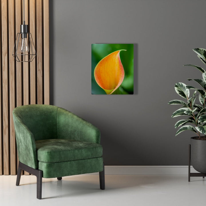 Orange Calla Lily - Canvas - Visiting This World