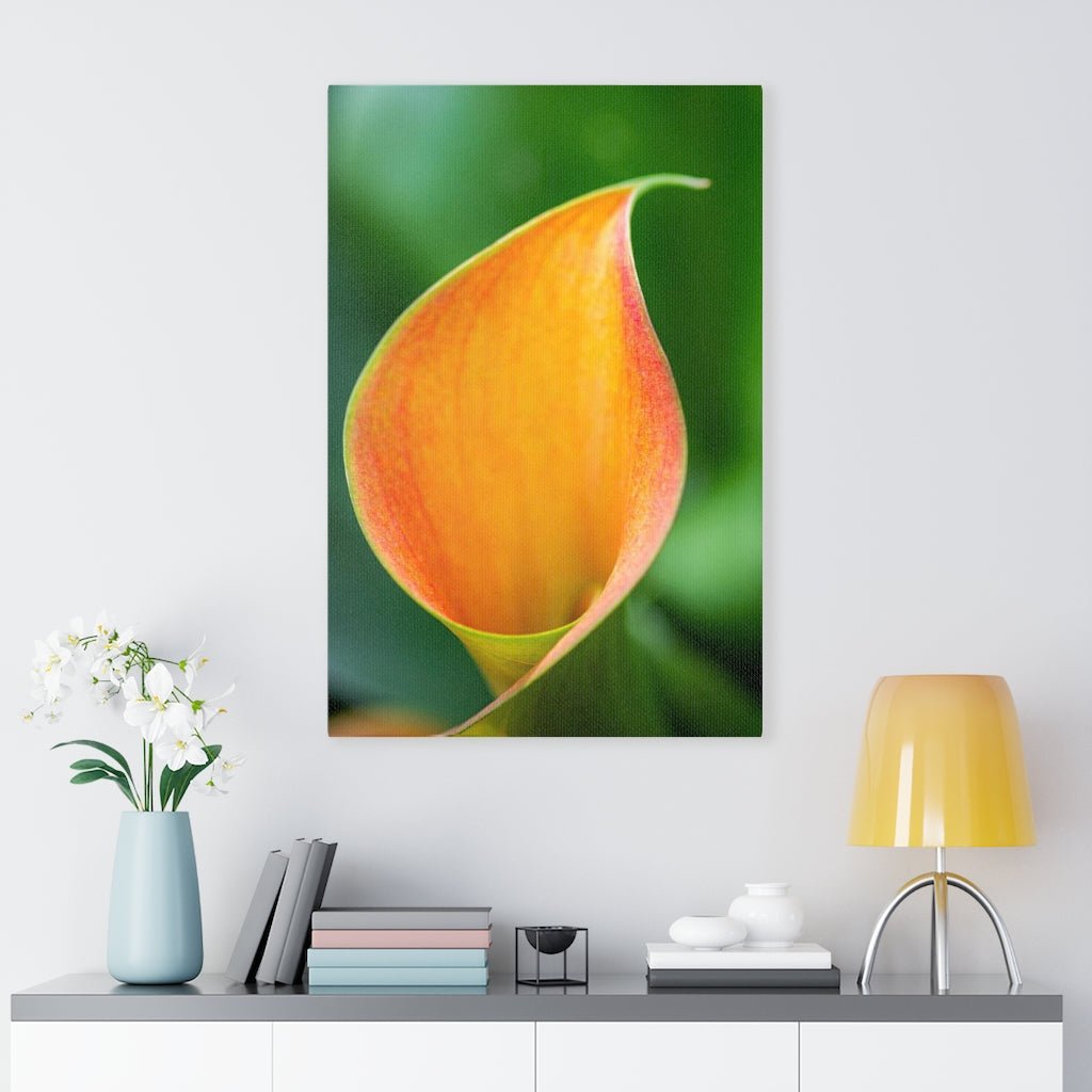 Orange Calla Lily - Canvas - Visiting This World