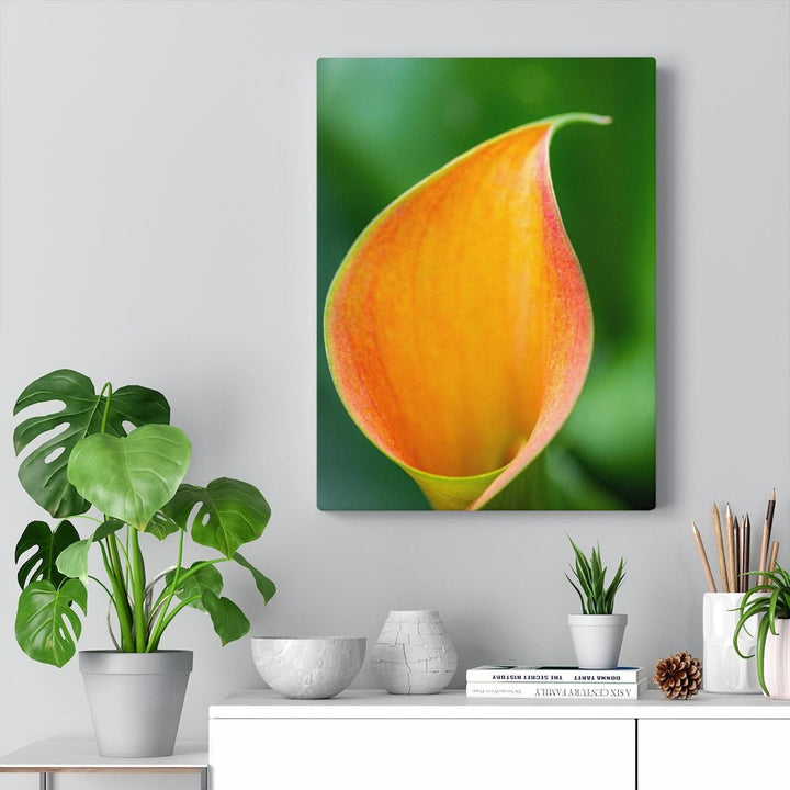 Orange Calla Lily - Canvas - Visiting This World