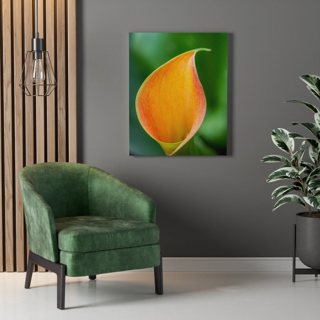 Orange Calla Lily - Canvas - Visiting This World