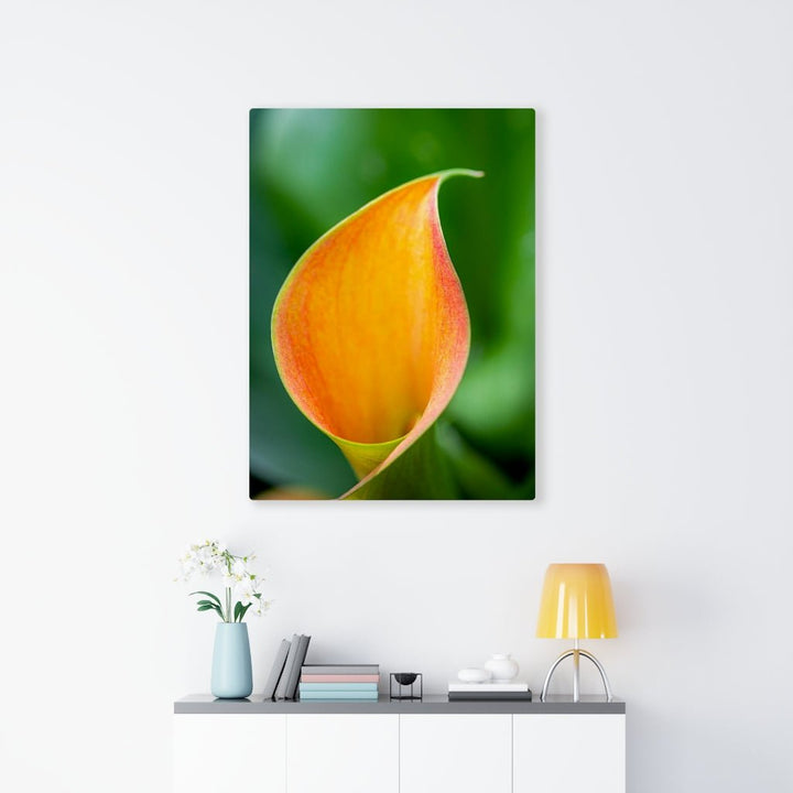 Orange Calla Lily - Canvas - Visiting This World