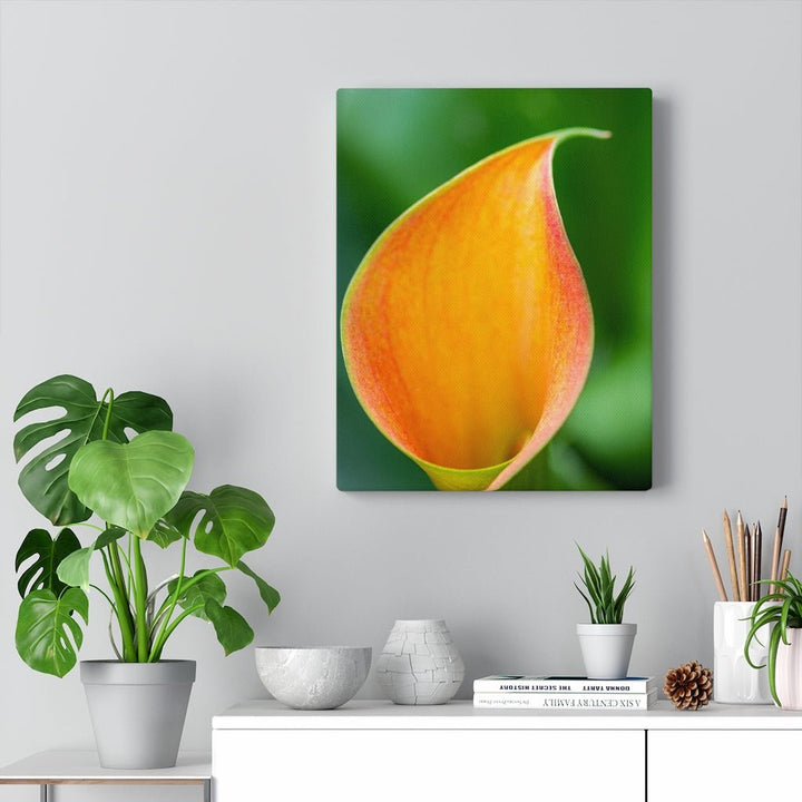 Orange Calla Lily - Canvas - Visiting This World